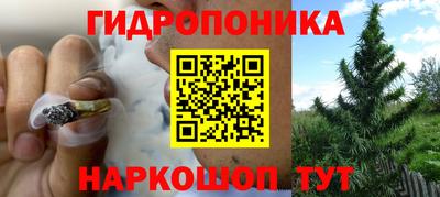 стаф Краснодар