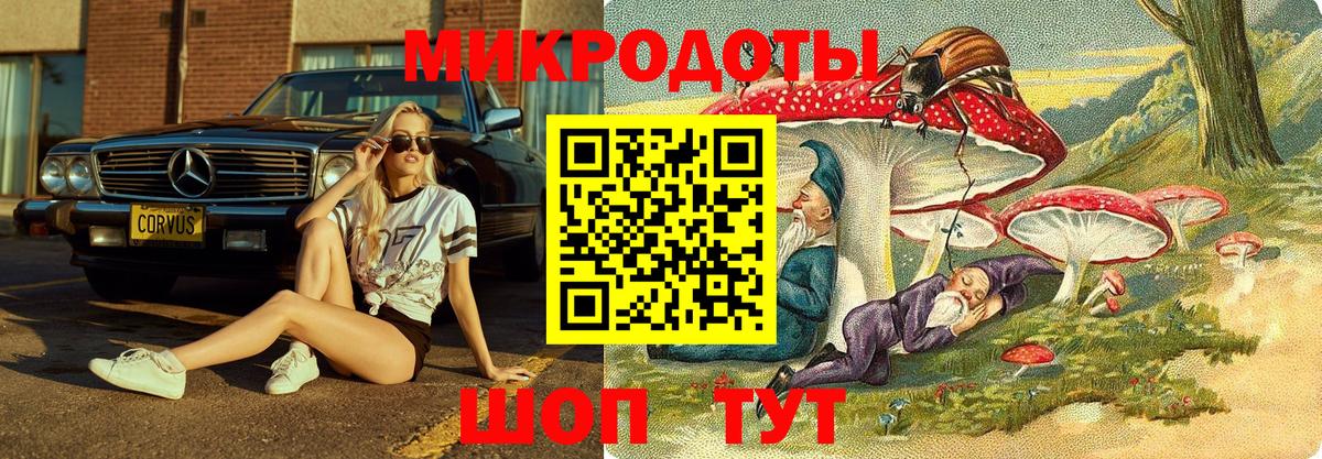 Псилоцибиновые грибы прущие грибы Юрга